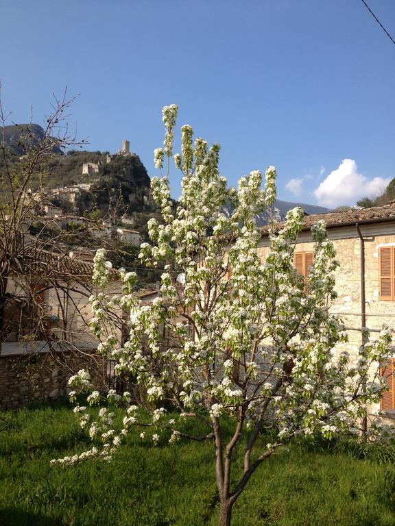 Il Borgo Agriturismo Villa Ferentillo Exterior foto